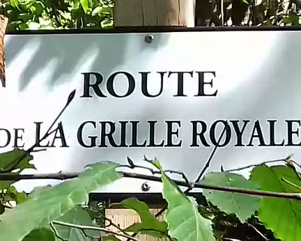 045 Route de la Grille royale et châtaigner